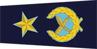 AIGP badge