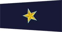 asi badge