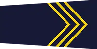 head constable badge