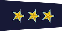 senior sub inspector
